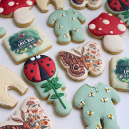 Little Love Bug Custom Sugar Cookie Set