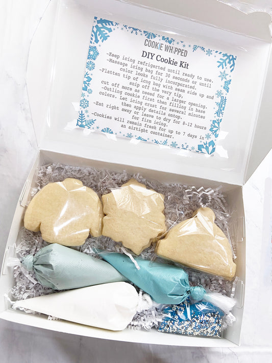 Holiday Snowflake  Cookie Decorating Kit