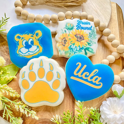 Custom UCLA-themed graduation cookies featuring the UCLA logo, bear paw, and "Bruin Bound" messages in blue and gold.
